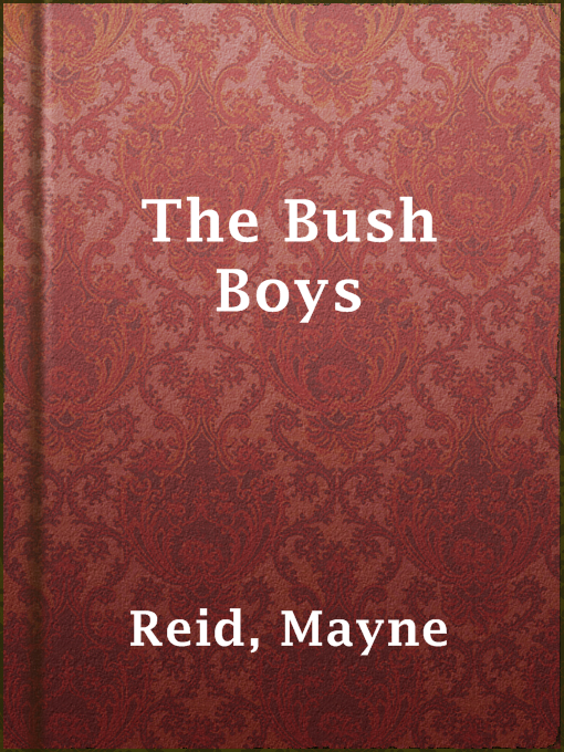 Cover of The Bush Boys